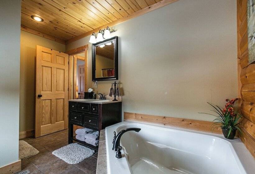 Lorelei Cabins Aster