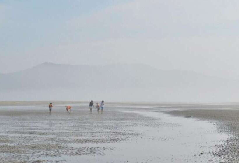 膳宿费 Taean Sand Hill Resort