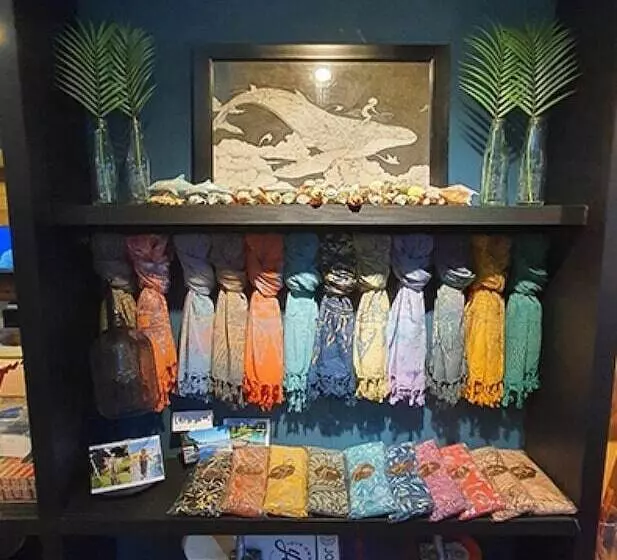 ペンション Yangyang Joa Surf Surfing House