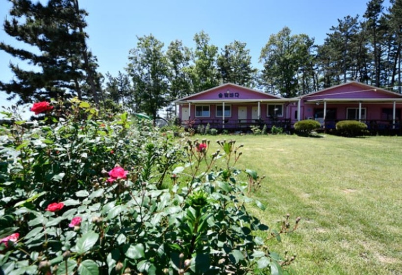Taean Solbitbada Pension