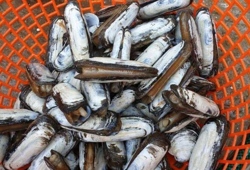 Taean Solbitbada Pension