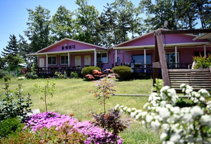 Taean Solbitbada Pension