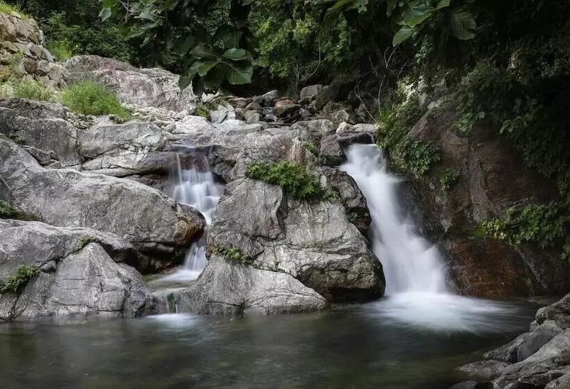 Gapyeong Supsokui Harmony Pension