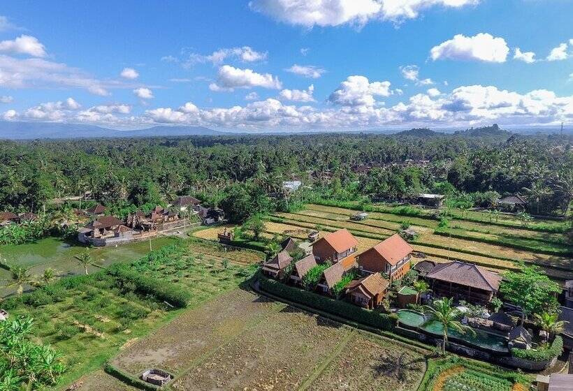 酒店 Alam Kawi Ubud Resort & Spa