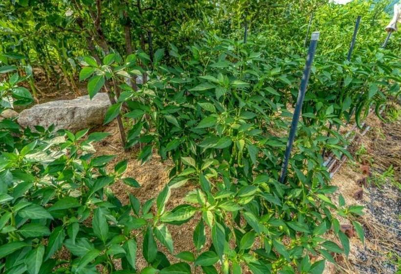 Hwacheon Flower Pension