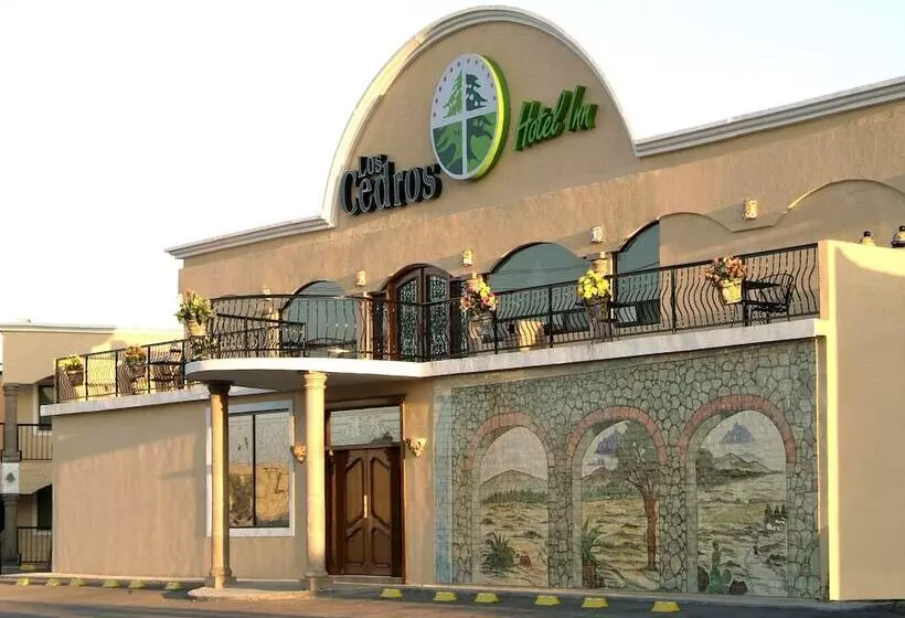 Los Cedros Hotel Inn Chihuahua