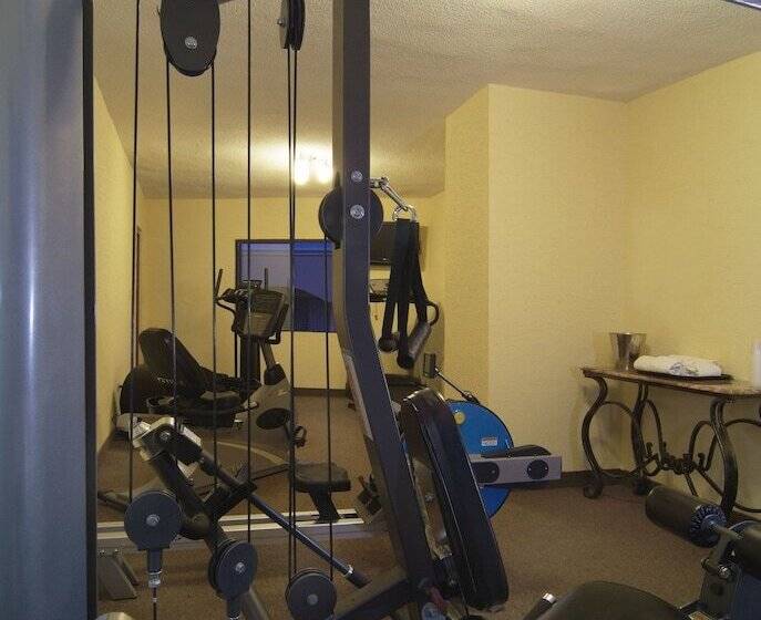 Los Cedros Hotel Inn Chihuahua