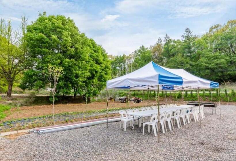 Paju Dalbitgadeuk Pension