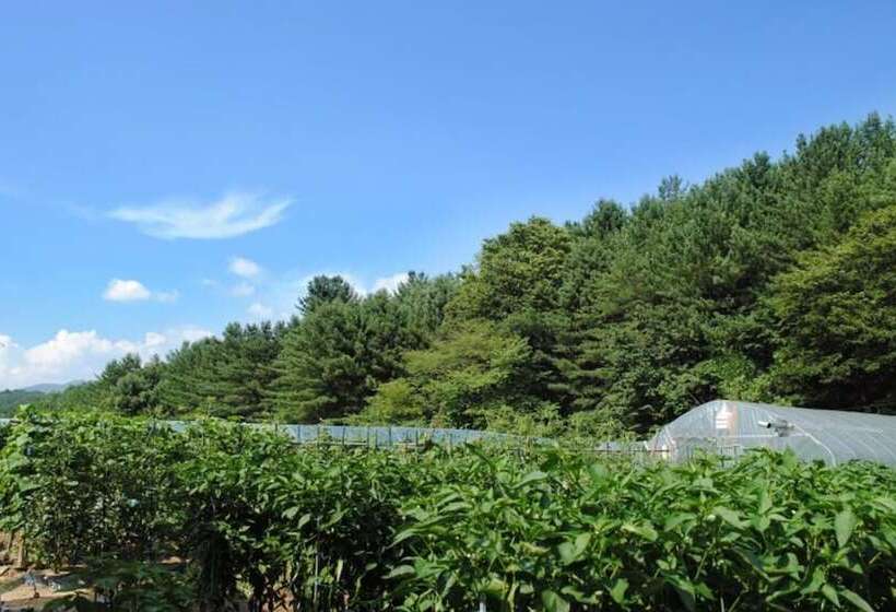 Gapyeong Nokcheon Glamping Pension