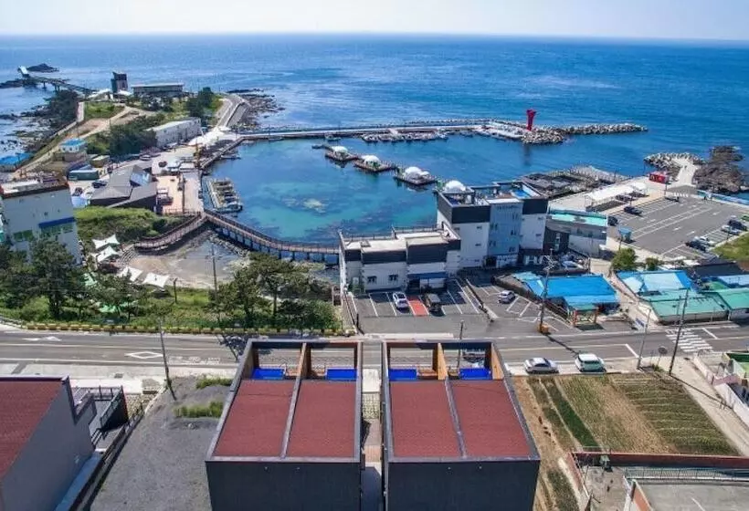 Pohang The East Pool Villa Pension