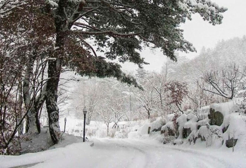 Pyeongchang Eomeonipumsok Maeul Pension