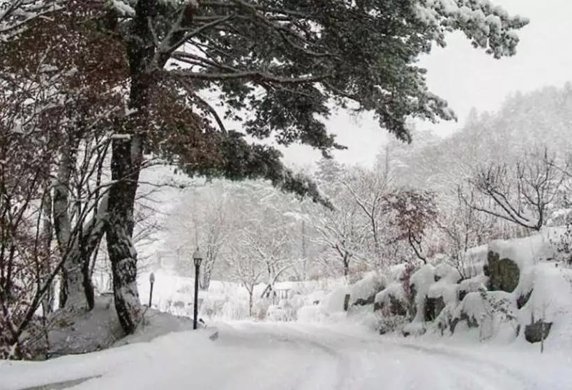 Pyeongchang Eomeonipumsok Maeul Pension