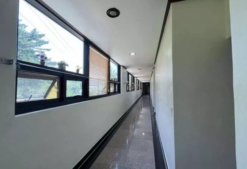 Yangyang Hajodae Conto Hotel Pension