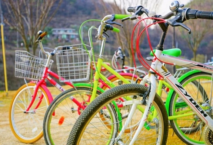 Cheongju Crapas Pension