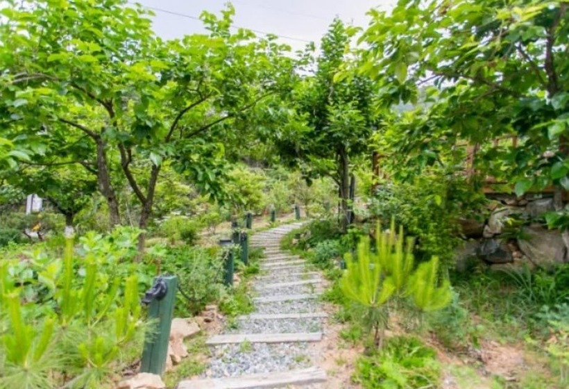 Chilgok Ts132 Pension