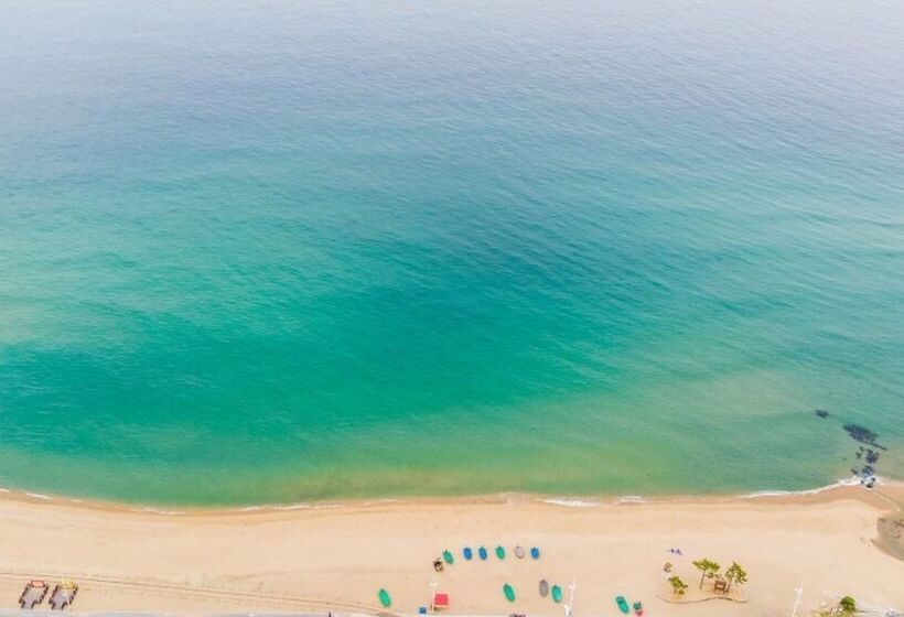 Gangneung Jeongdongjin Joyful Pension