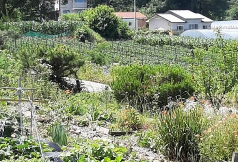 Goesan Byeolbitsanmagi Pension