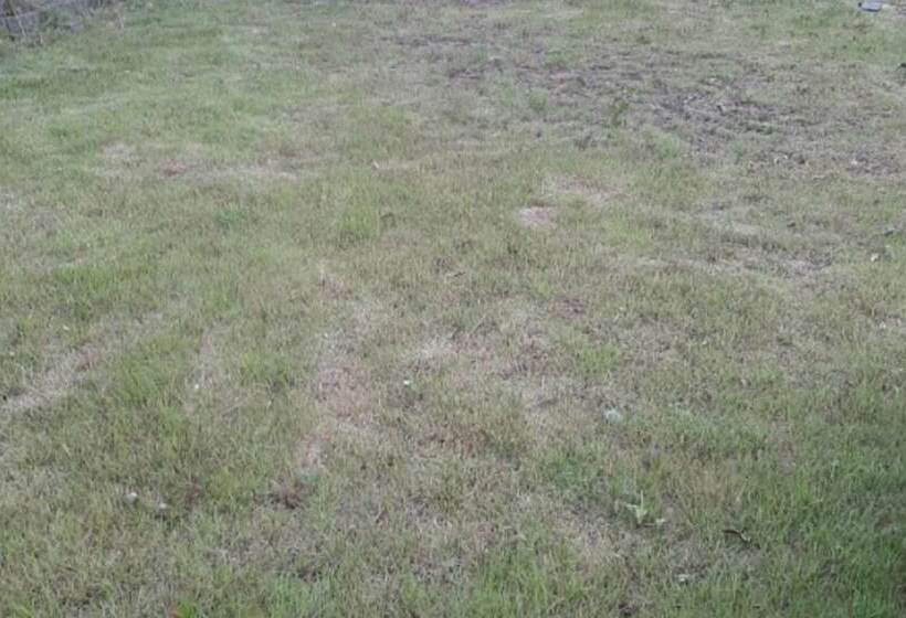 Goesan Byeolbitsanmagi Pension