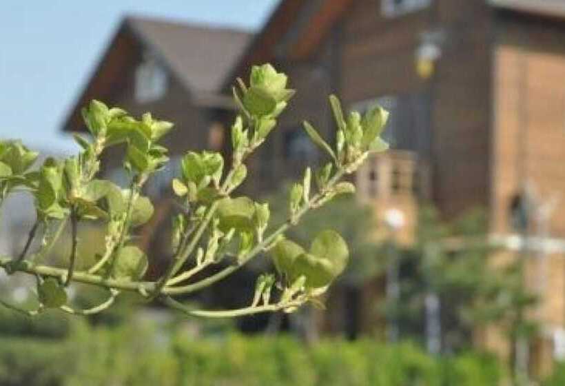 Gyeongju Solbaramgil Pension
