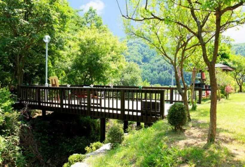 Hongcheon Gamjatown Pension