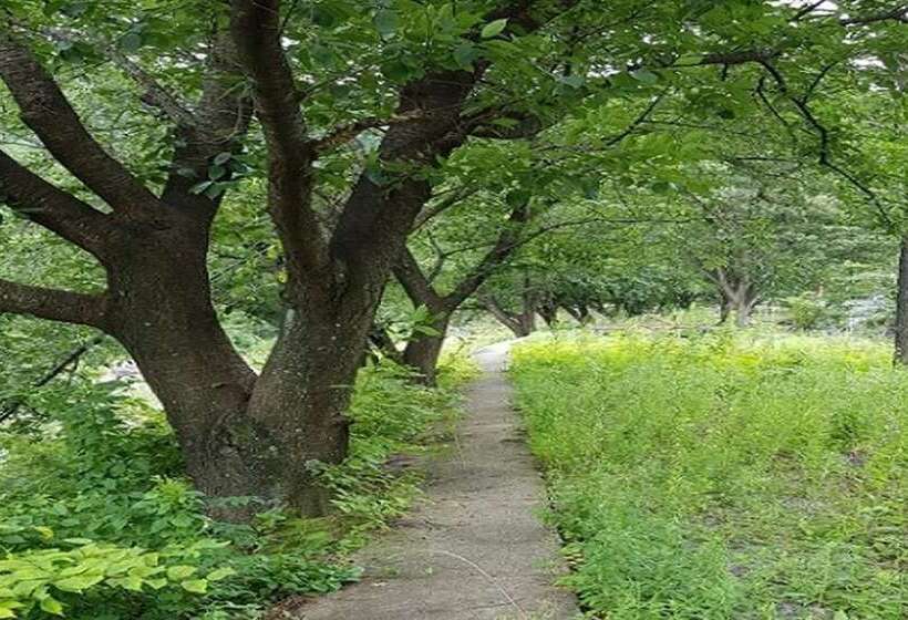 Miryang Geumgwa Okpul Pension