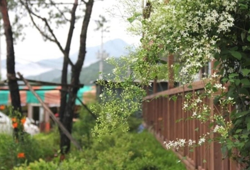 بنسيون Hongcheon Kkantte Pansion