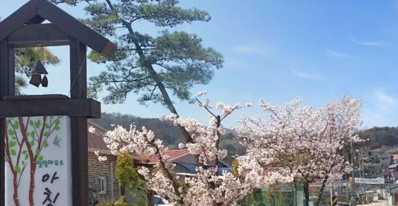 پانسیون Jeonju Morning Garden Guest House