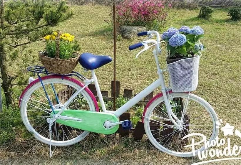 پانسیون Jeonju Morning Garden Guest House