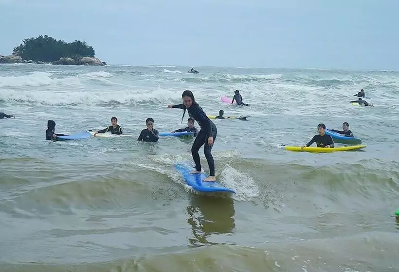 ペンション Yangyang Fun Surf Guest House