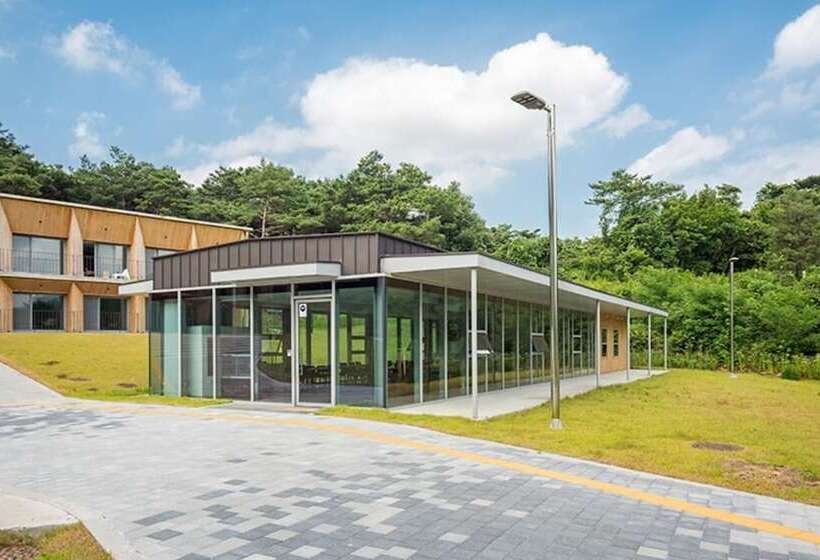 Pension (Hôtel basse catégorie) Yongwol Eco Village Youth Hostel