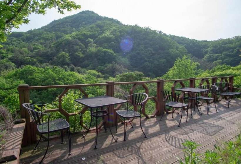 Pocheon Joey Tomato Pension