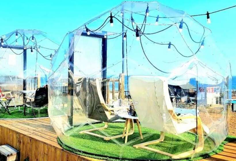 Pohang Full House Pension