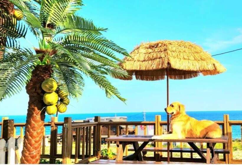 Pohang Full House Pension