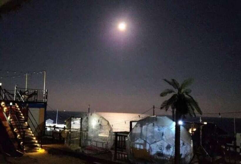 Pohang Full House Pension