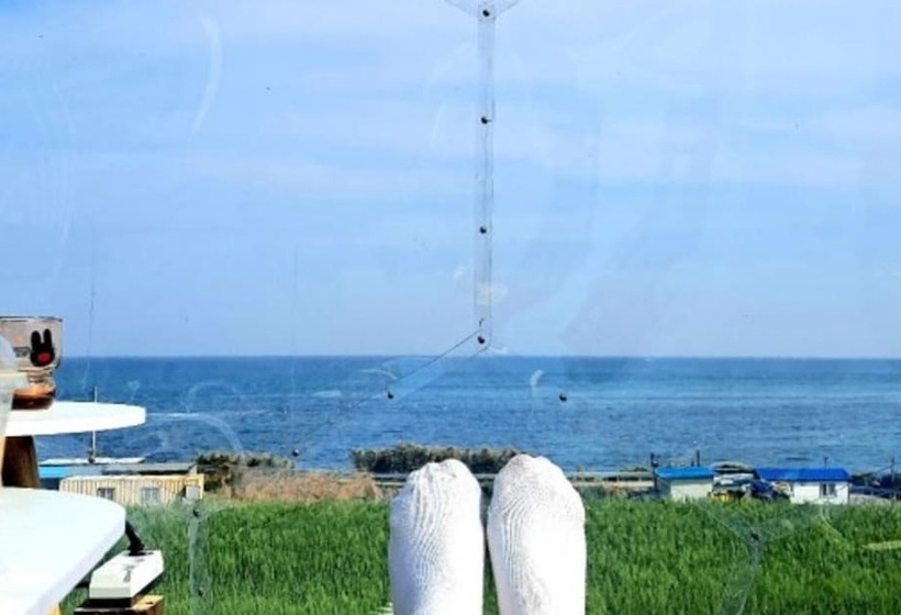 Pohang Full House Pension