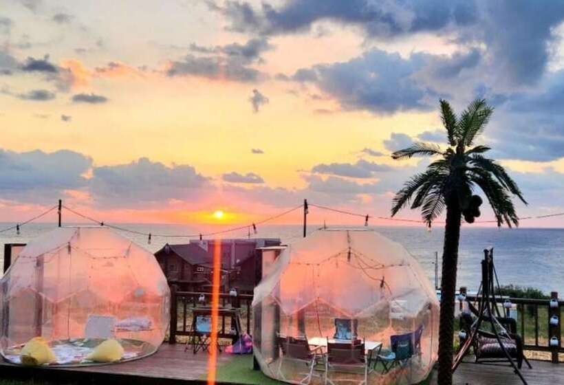 Pohang Full House Pension