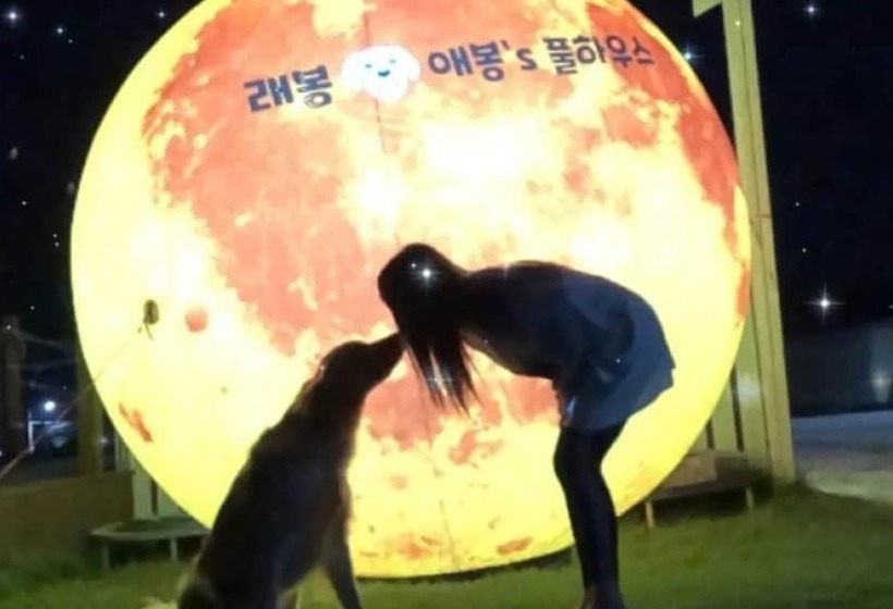 Pohang Full House Pension