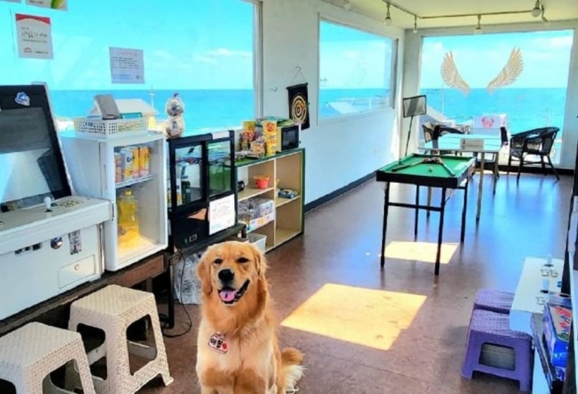 Pohang Full House Pension