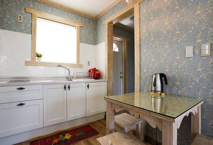 Sejong Rodem Hill Pension