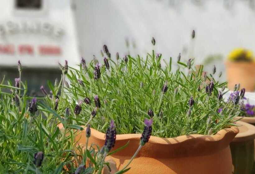 Taean Gajangjari Pension