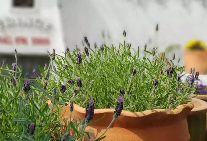 Taean Gajangjari Pension