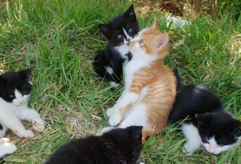 Taean Gajangjari Pension