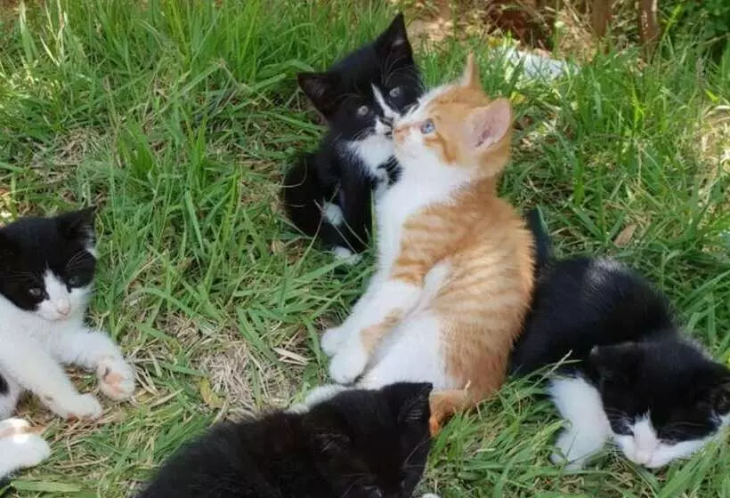 Taean Gajangjari Pension