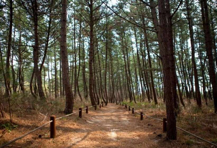Taean Gajangjari Pension