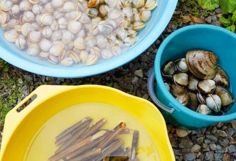 Taean Gold House Pension