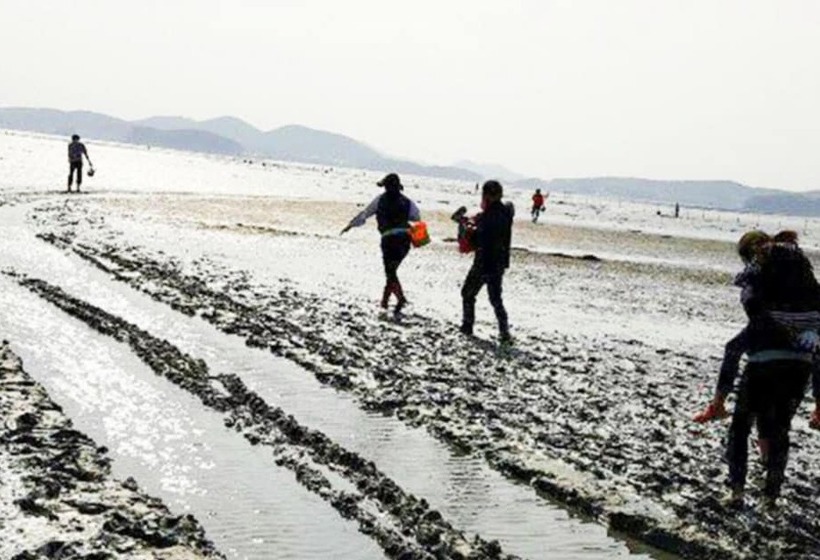 Taean Gold House Pension