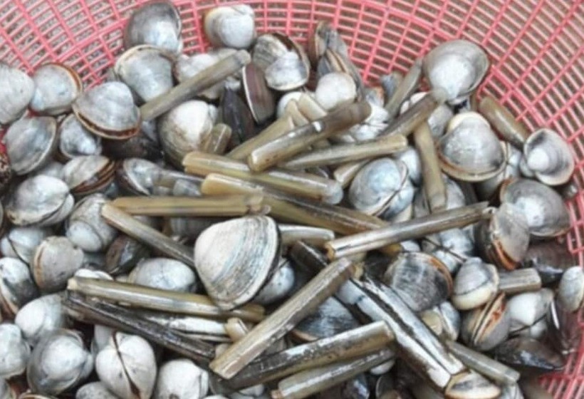 Taean Gold House Pension