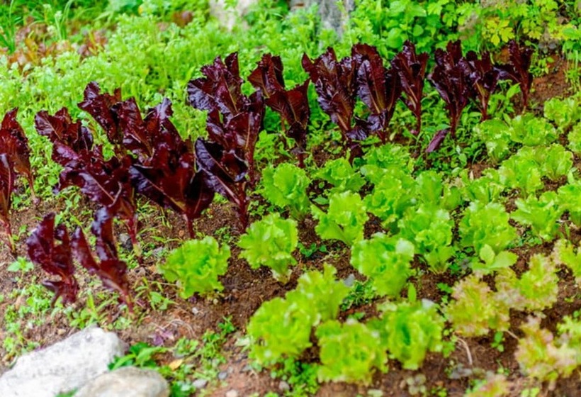 Yangpyeong 4hue House Pension