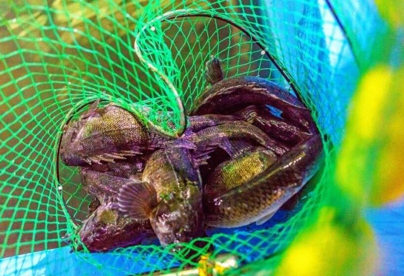 Yeongdeok Badahyang Pension