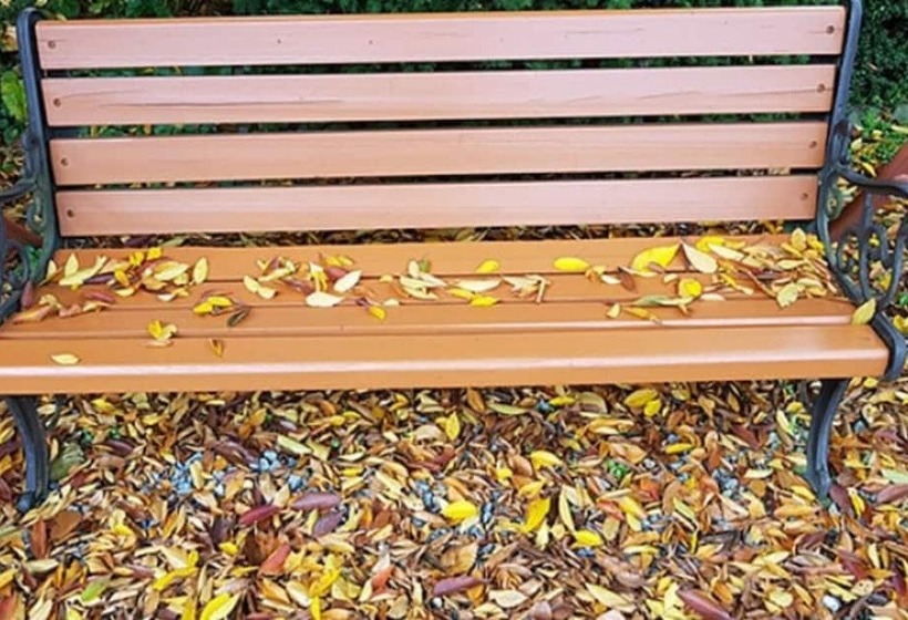 Danyang Fragrant Tree Pension